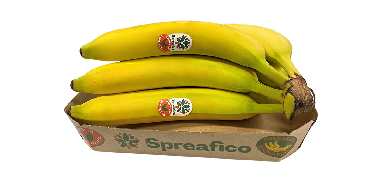 Ecco le nuove banane a marchio Spreafico